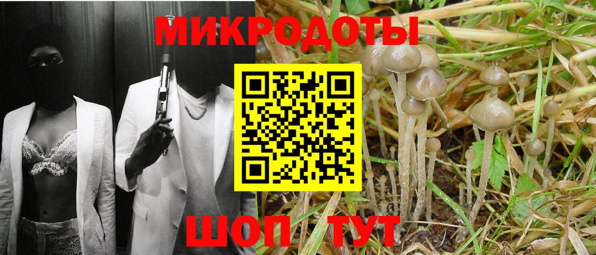 Псилоцибиновые грибы ЛСД  Вход с VPN  Комсомольск-на-Амуре  Галлюциногенные грибы Cubensis 